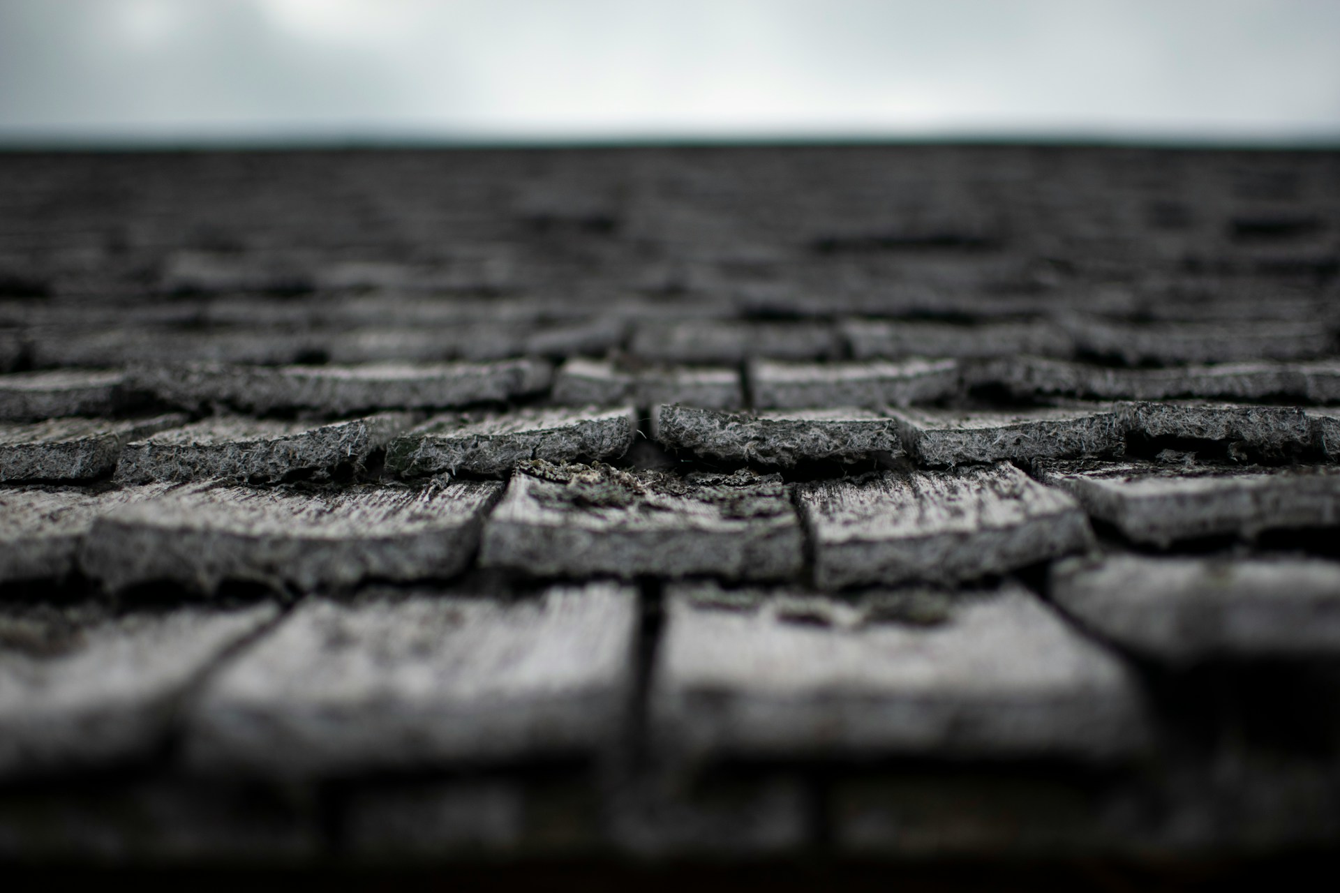 Asphalt shingles damaged by a storm with debris in the gutter